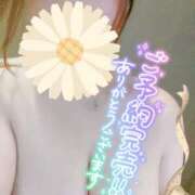 ヒメ日記 2025/09/05 14:21 投稿 ゆきの ミセスサマンサ