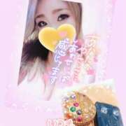 ヒメ日記 2025/11/12 03:42 投稿 ゆきの ミセスサマンサ