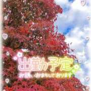 ヒメ日記 2025/11/20 23:39 投稿 ゆきの ミセスサマンサ