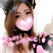 ヒメ日記 2026/03/18 13:51 投稿 ゆきの ミセスサマンサ