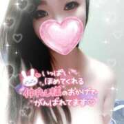 ヒメ日記 2026/03/31 04:12 投稿 ゆきの ミセスサマンサ