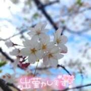 ヒメ日記 2026/04/12 20:44 投稿 ゆきの ミセスサマンサ