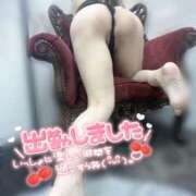 ヒメ日記 2025/12/15 14:01 投稿 ひなみ ミセスサマンサ