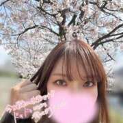 ヒメ日記 2026/04/06 11:49 投稿 ひなみ ミセスサマンサ