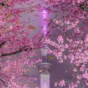 飛鳥(あすか) ありがとう♡♡ 人妻最後の砦 水戸店