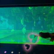 ヒメ日記 2025/08/26 02:48 投稿 そのか ミセスサマンサ