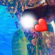 ヒメ日記 2026/03/05 20:54 投稿 そのか ミセスサマンサ