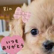 りん おつです🦝🌱𓈒 𓏸 𓐍 マダムバンク 富山本店