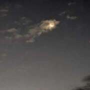 りん お久しぶりです🦝☕ マダムバンク 富山本店