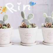 りん こんにちはっ🩷 マダムバンク 富山本店