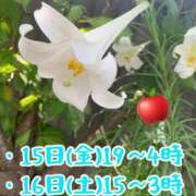 ヒメ日記 2025/08/13 19:01 投稿 りんご ミセスサマンサ