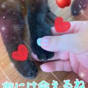 ヒメ日記 2025/09/15 11:14 投稿 りんご ミセスサマンサ