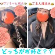 ヒメ日記 2025/10/08 19:00 投稿 りんご ミセスサマンサ