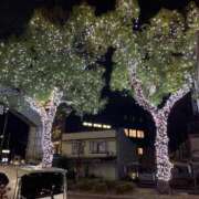 ヒメ日記 2026/01/23 22:45 投稿 りんご ミセスサマンサ