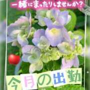 ヒメ日記 2026/06/08 19:03 投稿 りんご ミセスサマンサ