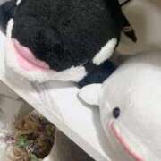 ヒメ日記 2025/09/16 01:11 投稿 藤ヶ谷 BBW西船橋店