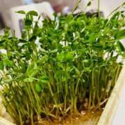 ヒメ日記 2025/09/22 12:03 投稿 藤ヶ谷 BBW西船橋店