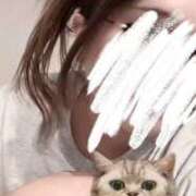 ヒメ日記 2026/02/12 03:01 投稿 藤ヶ谷 BBW西船橋店