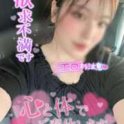 ヒメ日記 2025/08/29 20:02 投稿 りんか ミセスサマンサ