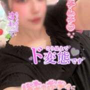 ヒメ日記 2025/09/02 12:04 投稿 りんか ミセスサマンサ