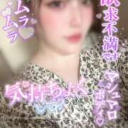 ヒメ日記 2025/11/15 20:02 投稿 りんか ミセスサマンサ