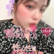 ヒメ日記 2025/11/22 10:03 投稿 りんか ミセスサマンサ