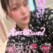 ヒメ日記 2025/12/03 20:16 投稿 りんか ミセスサマンサ