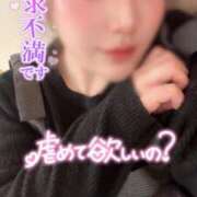 ヒメ日記 2026/02/04 13:45 投稿 りんか ミセスサマンサ