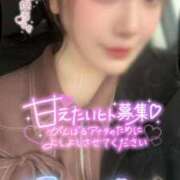 ヒメ日記 2026/02/11 09:45 投稿 りんか ミセスサマンサ