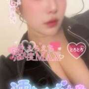 ヒメ日記 2026/04/08 12:17 投稿 りんか ミセスサマンサ