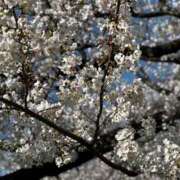 ヒメ日記 2026/04/04 00:47 投稿 るか ミセスサマンサ