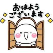 ヒメ日記 2025/08/13 08:52 投稿 りく ミセスサマンサ