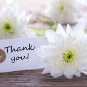 ヒメ日記 2025/08/14 11:06 投稿 りく ミセスサマンサ