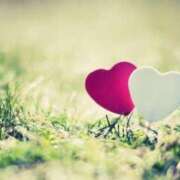 ヒメ日記 2025/08/23 15:04 投稿 りく ミセスサマンサ