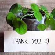 ヒメ日記 2025/10/30 14:04 投稿 りく ミセスサマンサ