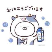 ヒメ日記 2025/10/31 11:07 投稿 りく ミセスサマンサ