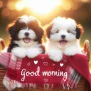 ヒメ日記 2025/08/27 10:01 投稿 さなえ ミセスサマンサ