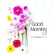 ヒメ日記 2025/09/13 10:18 投稿 さなえ ミセスサマンサ