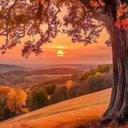 ヒメ日記 2025/10/24 18:01 投稿 さなえ ミセスサマンサ