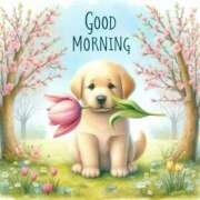 ヒメ日記 2025/11/02 10:02 投稿 さなえ ミセスサマンサ