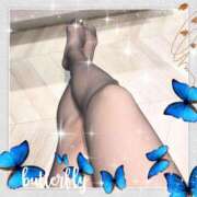 ヒメ日記 2025/11/10 14:00 投稿 さなえ ミセスサマンサ