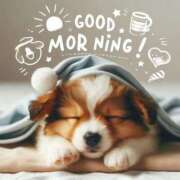 ヒメ日記 2025/12/19 10:01 投稿 さなえ ミセスサマンサ