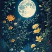 ヒメ日記 2025/12/19 18:01 投稿 さなえ ミセスサマンサ