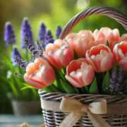 ヒメ日記 2025/12/27 10:02 投稿 さなえ ミセスサマンサ