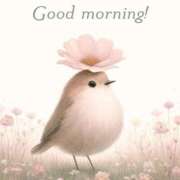 ヒメ日記 2025/12/30 10:03 投稿 さなえ ミセスサマンサ