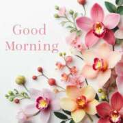 ヒメ日記 2026/02/22 10:02 投稿 さなえ ミセスサマンサ