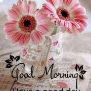 ヒメ日記 2026/02/23 10:03 投稿 さなえ ミセスサマンサ