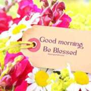 ヒメ日記 2026/02/25 10:02 投稿 さなえ ミセスサマンサ