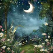 ヒメ日記 2026/03/04 18:01 投稿 さなえ ミセスサマンサ