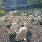 ヒメ日記 2025/10/14 10:00 投稿 れいら 制服天国（ユメオト）